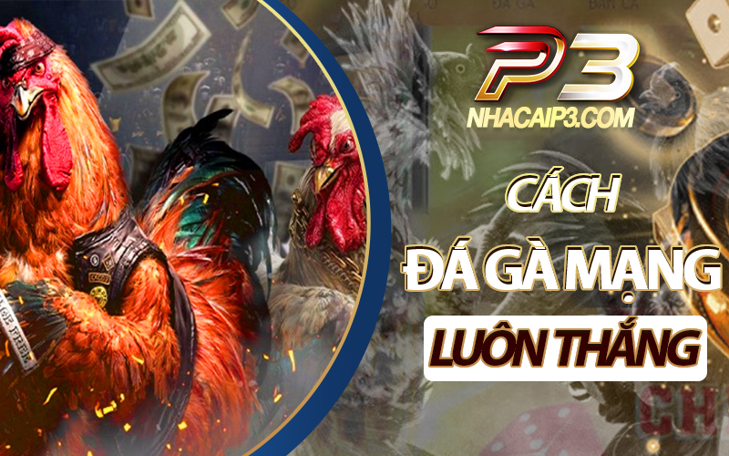 cách đá gà mạng luôn thắng