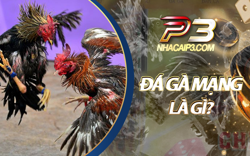 đá gà mạng là gì