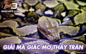 giải mã giấc mơ thấy trăn chi tiết nhất