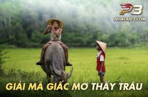 Mơ thấy trâu có rất nhiều điều thú vị