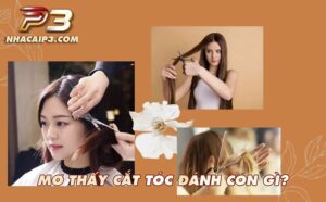 mơ thấy cắt tóc có điềm báo gì