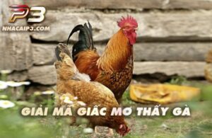 Mơ thấy gà mang điềm báo tốt và xấu khác nhau