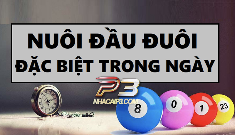 top 3 phương pháp nuôi đầu đuôi đặc biệt trong ngày