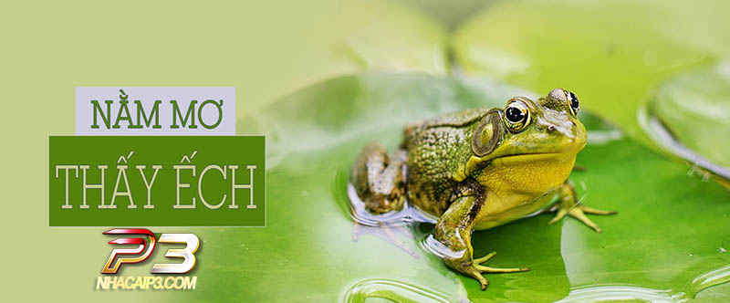 giải mã giấc mơ thấy ếch