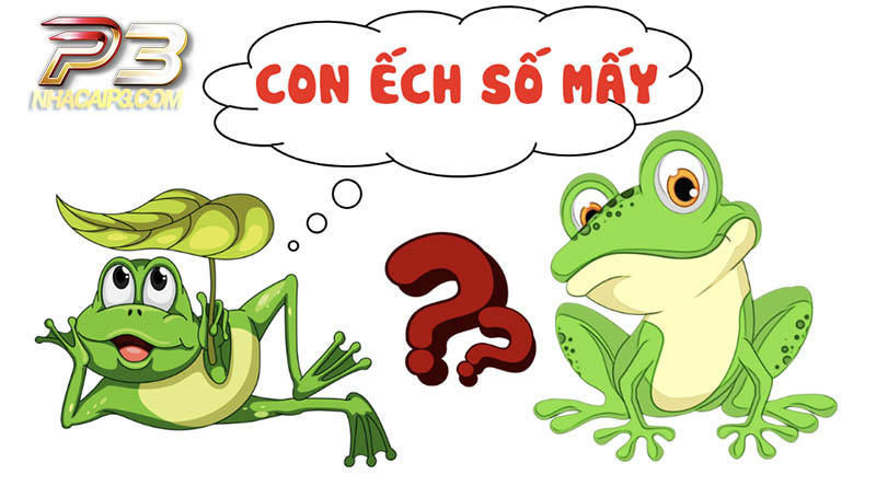 Con ếch số mấy?