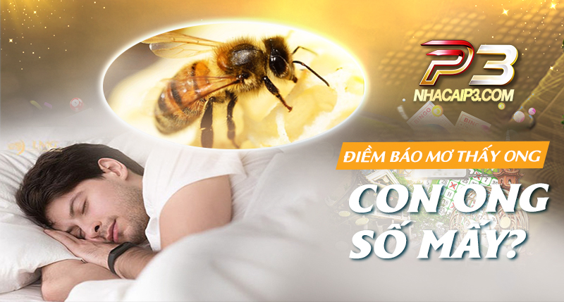 con ong số mấy