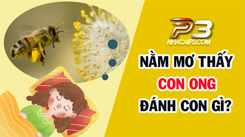 Con ong số mấy? Mộng thấy con ong đánh con gì?