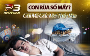 con rùa số mấy? giải mã giấc mơ thấy rùa