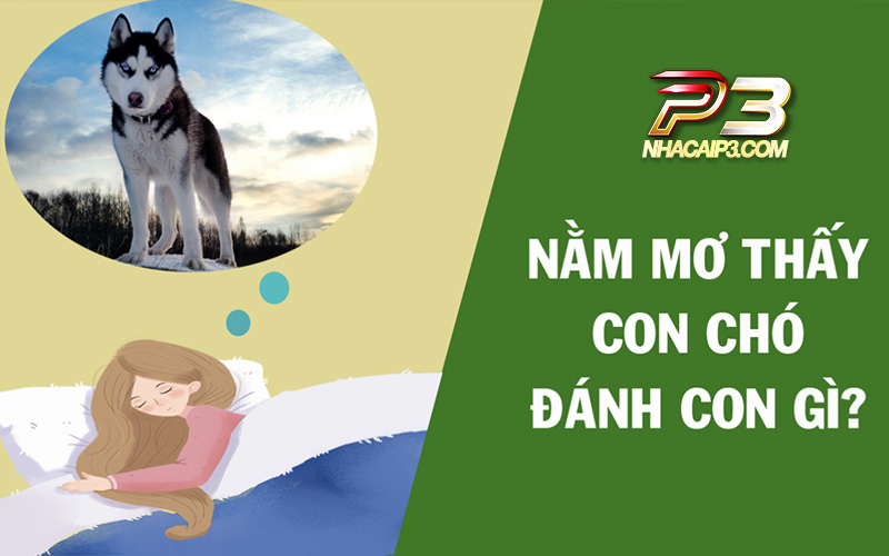 giải mã giấc mơ thấy chó