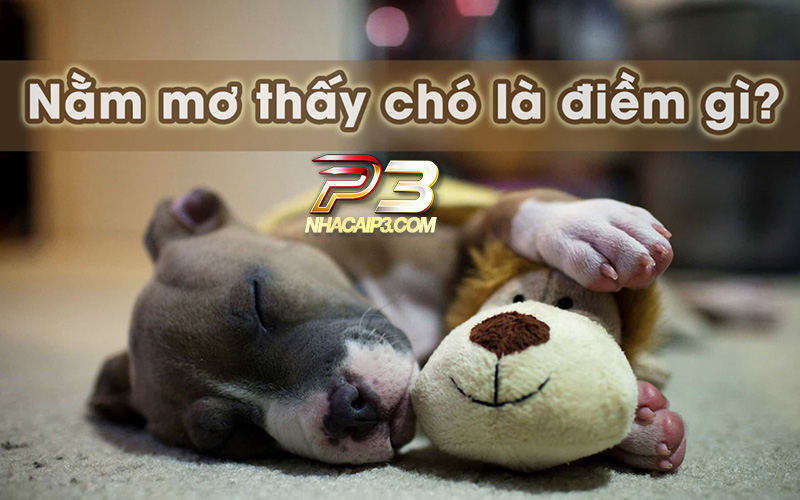 điềm báo mơ thấy chó
