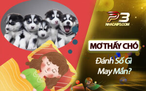 mơ thấy chó đánh số gì?
