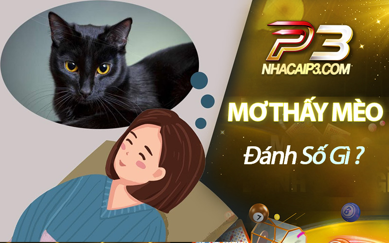 mơ thấy mèo đánh số gì?