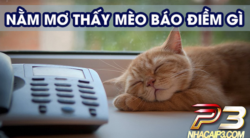 điềm báo mơ thấy mèo