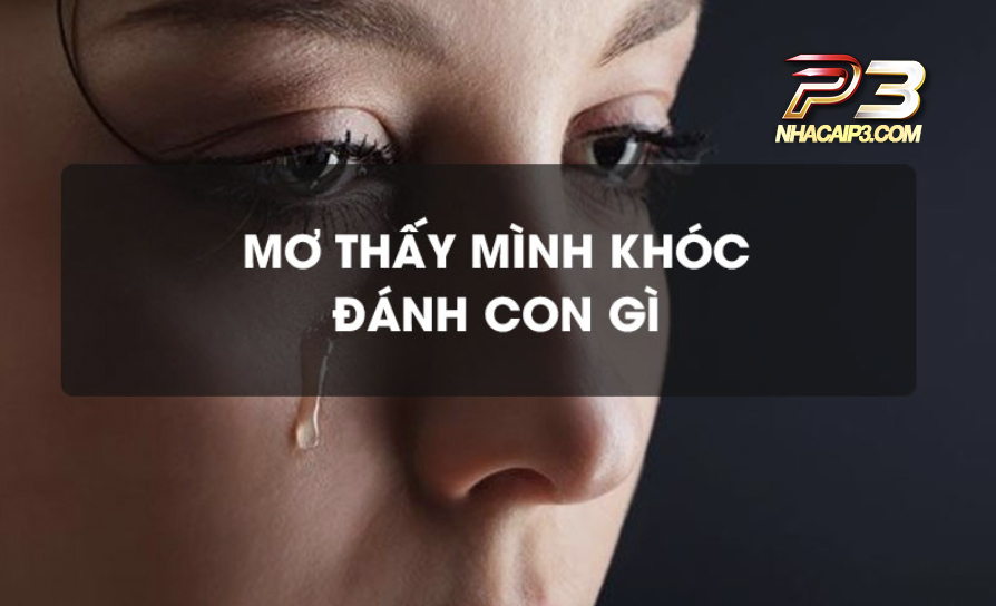 mơ thấy mình khóc đánh lô đề con gì