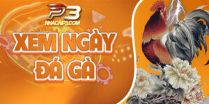 cách coi ngày đá gà