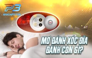 mơ đánh xóc đĩa đánh con gì?