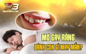 mơ gãy răng đánh con gì?