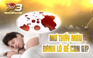 mơ thấy máu đánh con gì?