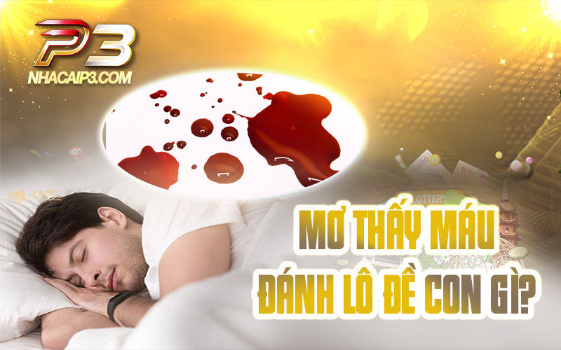 mơ thấy máu đánh con gì?