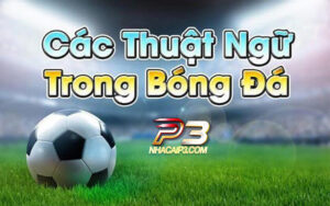 thuật ngữ cá độ bóng đá và tiếng lóng cá cược