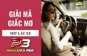 Mơ thấy lái xe đánh con gì?
