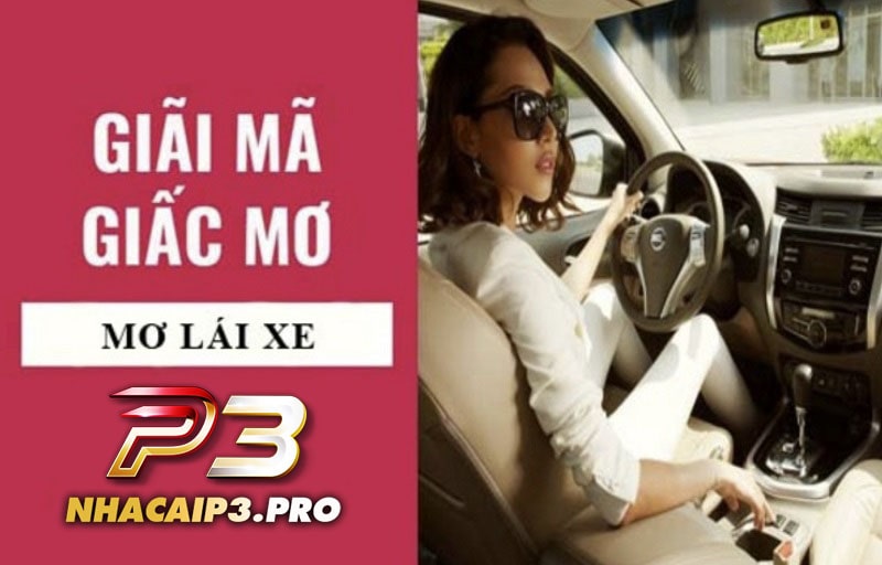 Mơ thấy lái xe đánh con gì?