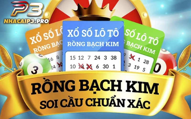 Rồng bạch kim là gì?
