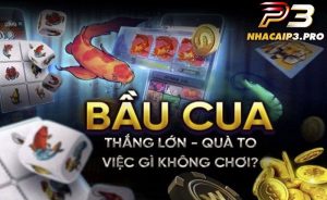 Cách chơi bầu cua P3