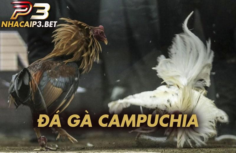 Khám phá đá gà campuchia