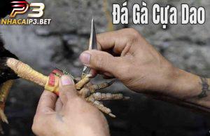 Tìm hiểu loại hình đá gà cựa dao