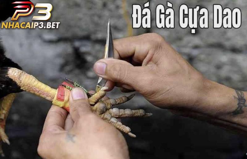 Tìm hiểu loại hình đá gà cựa dao
