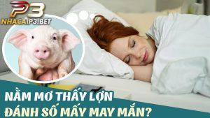 Con heo số mấy? Mơ thấy heo