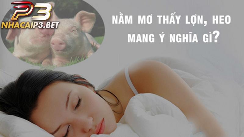 Ý nghĩa thông điệp của giấc mơ thấy heo