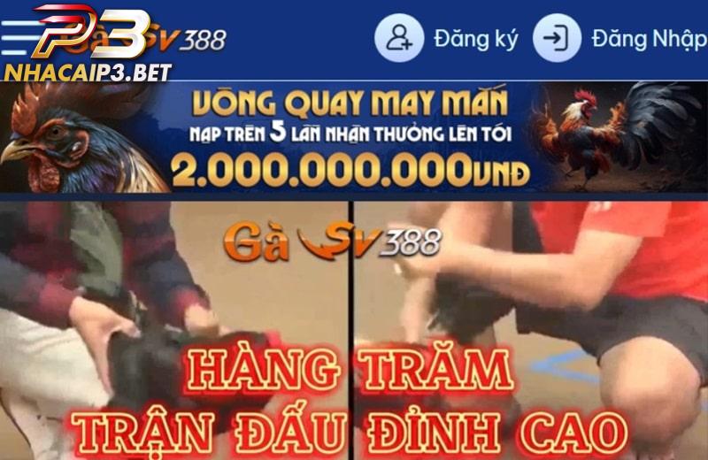 Nhà cái SV388 bắt đầu hoạt động trên thị trường cá cược từ năm 2009