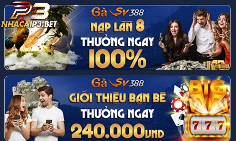 SV388 đứng đầu về ưu đãi đá gà siêu khủng