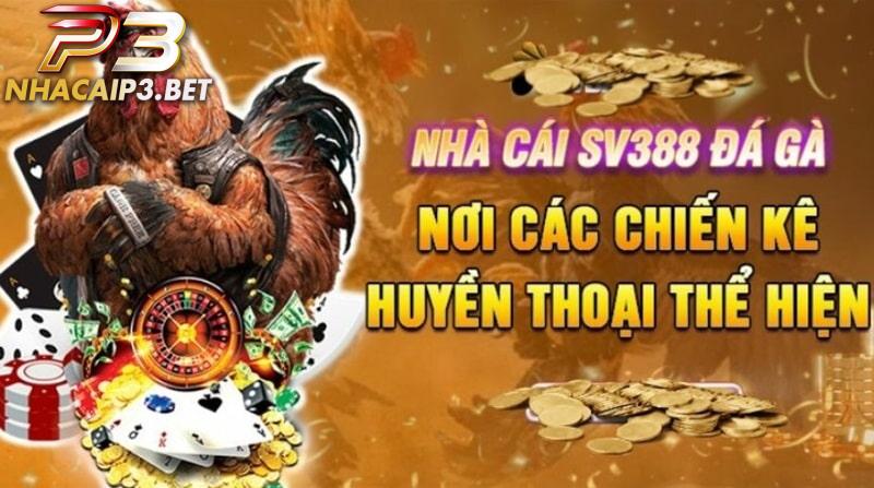 Hình thức đá gà cựa dao được nhiều người chơi ưa chuộng tại SV388