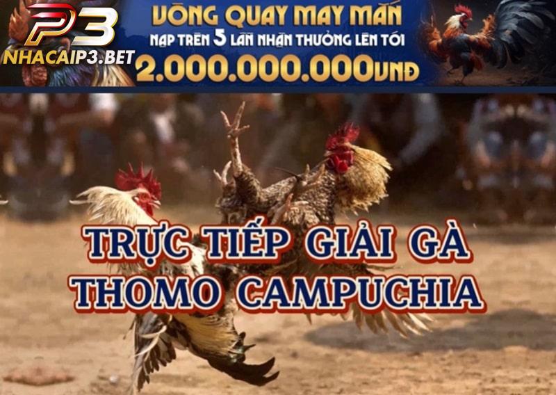Thomo Campuchia là một khu vực nổi tiếng trong thế giới đá gà tại SV388