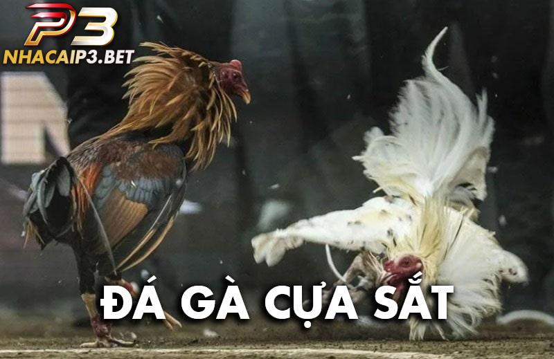 Tìm hiểu về đá gà cựa sắt