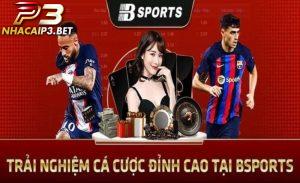 Giới thiệu về nhà cái Bsport
